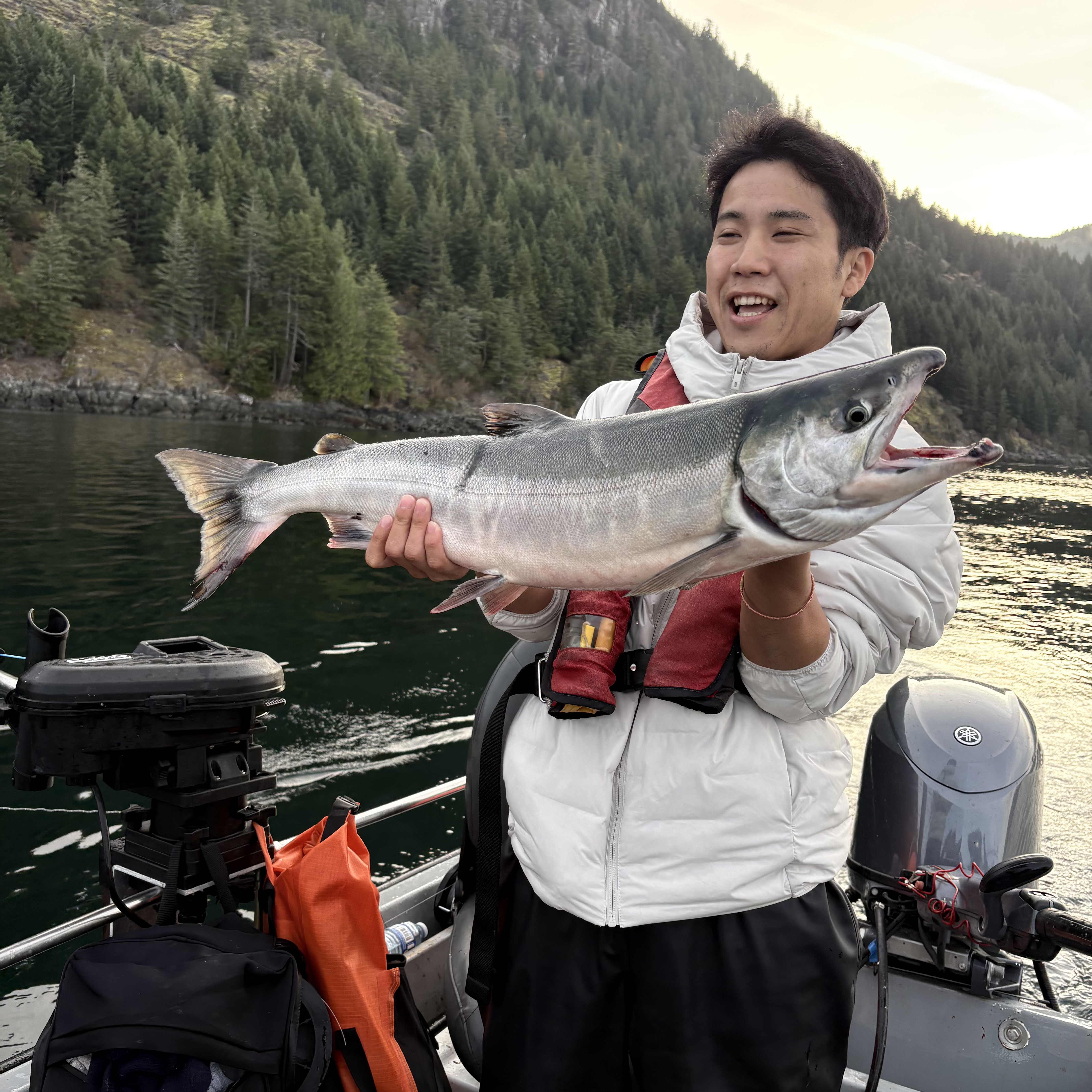 Angler holding chrome bright chum salmon caught trolling at Seymour Narrows, Discovery Passage, Campbell River